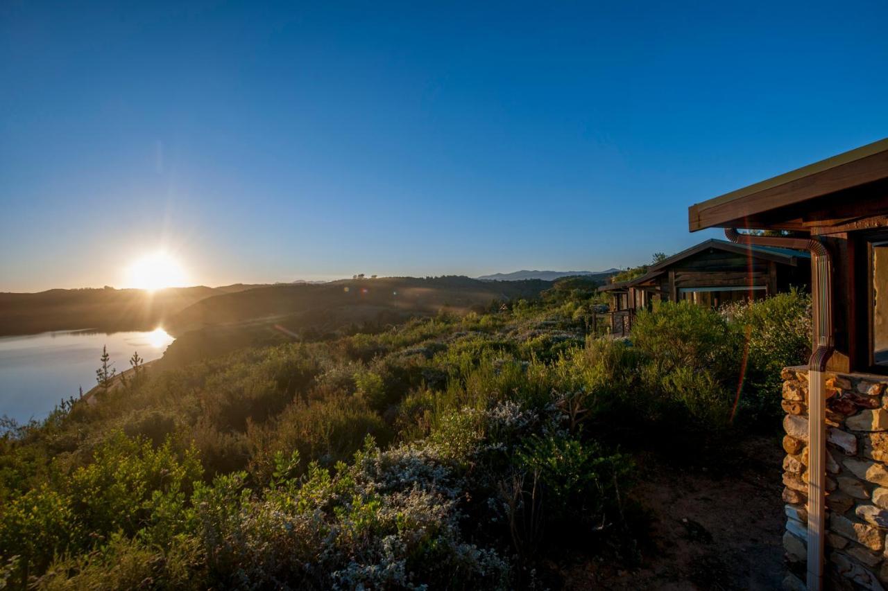 Elephant Hide Of Knysna Guest Lodge Esterno foto