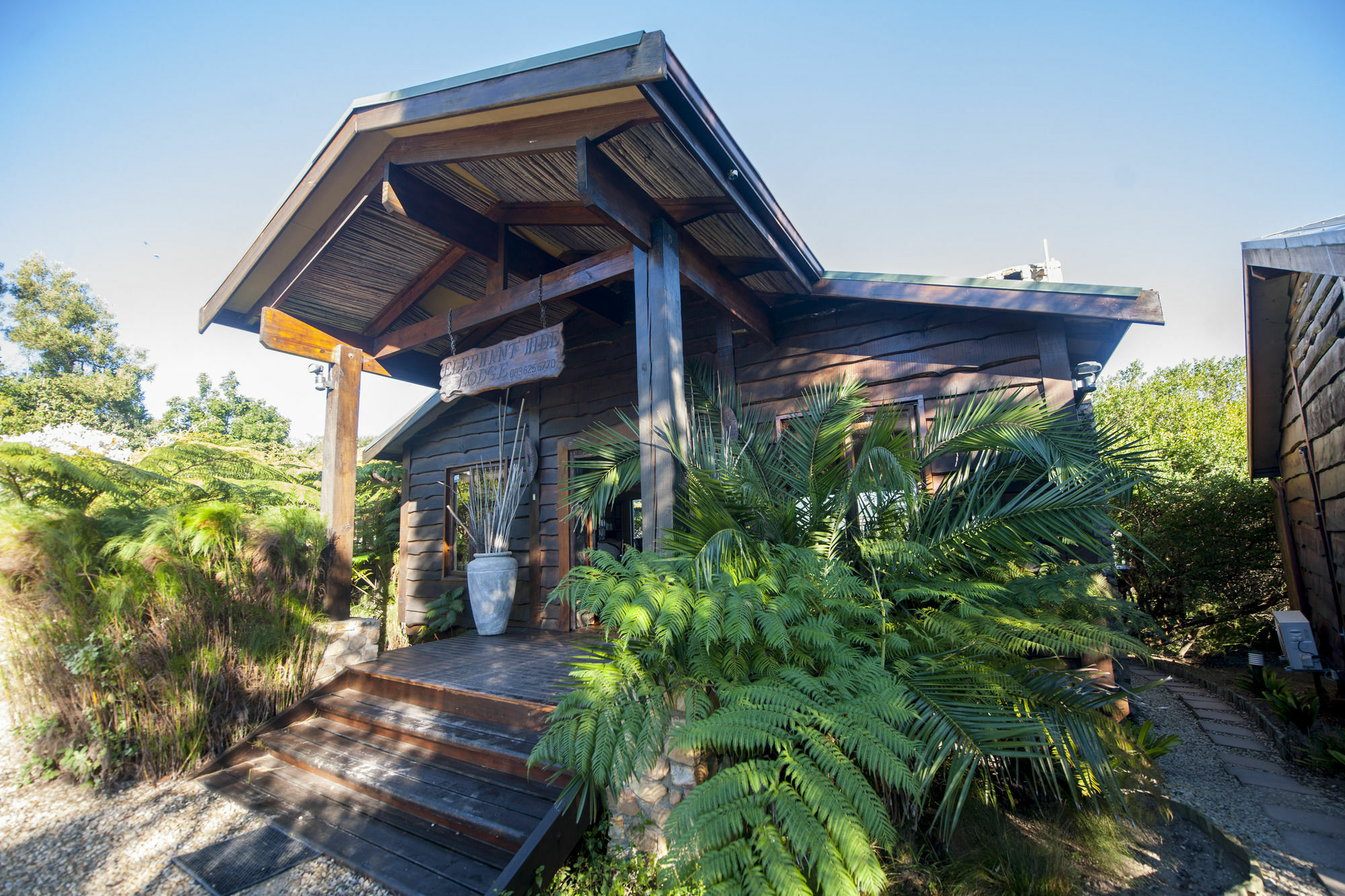 Elephant Hide Of Knysna Guest Lodge Esterno foto
