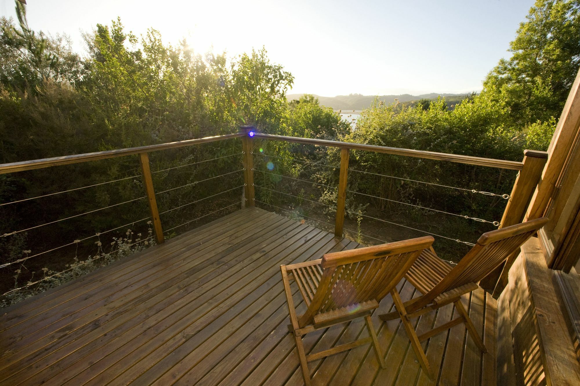Elephant Hide Of Knysna Guest Lodge Esterno foto